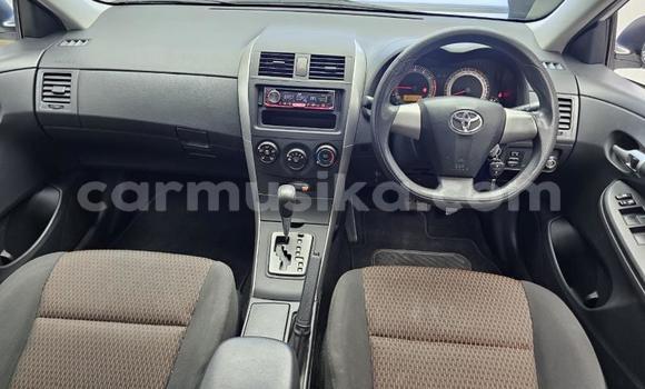 Buy Used Toyota Corolla White Car in Beitbridge in Matabeleland South Buy Used Toyota Corolla White Car in Beitbridge in Matabeleland South