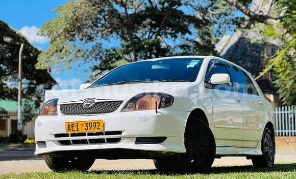 Acheter Occasion Voiture Toyota 4Runner Autre à Harare, Harare