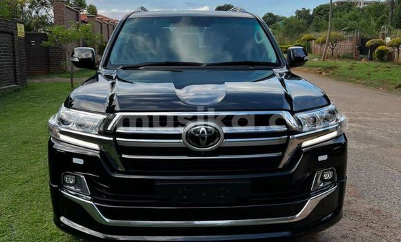 Tenga Tsaru Toyota Land Cruiser Prado Zvimwe Mota in Beitbridge in Matabeleland South