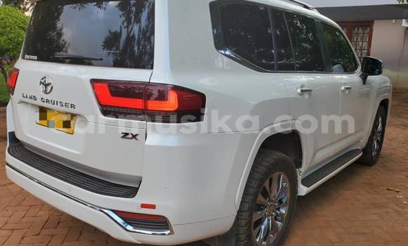 Tenga Tsaru Toyota Land Cruiser Chena Mota in Belvedere in Harare Tenga Tsaru Toyota Land Cruiser Chena Mota in Belvedere in Harare