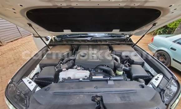 Tenga Tsaru Toyota Land Cruiser Chena Mota in Belvedere in Harare Tenga Tsaru Toyota Land Cruiser Chena Mota in Belvedere in Harare