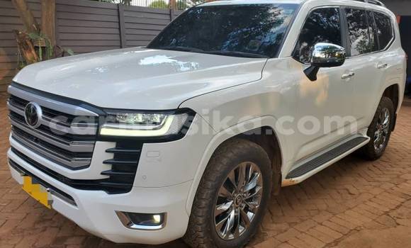 Tenga Tsaru Toyota Land Cruiser Chena Mota in Belvedere in Harare Tenga Tsaru Toyota Land Cruiser Chena Mota in Belvedere in Harare