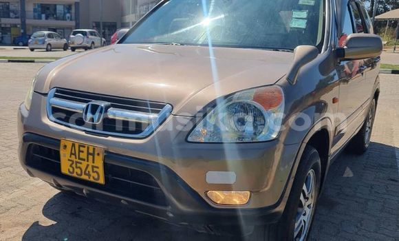 Buy Used Honda CR–V Other Car in Belvedere in Harare