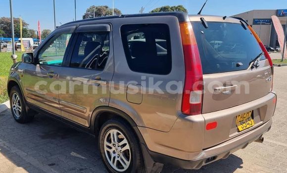 Tenga Tsaru Honda CRâV Zvimwe Mota in Belvedere in Harare Tenga Tsaru Honda CRâV Zvimwe Mota in Belvedere in Harare