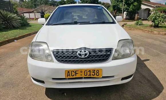 Nunua Ilio tumika Toyota Belta Nyeupe Gari ndani ya Beitbridge nchini Matabeleland Kusini