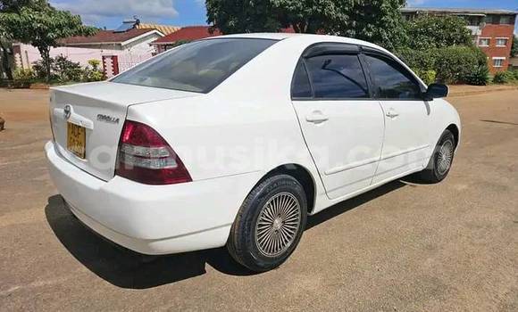 Tenga Tsaru Toyota Belta Chena Mota in Beitbridge in Matabeleland South Tenga Tsaru Toyota Belta Chena Mota in Beitbridge in Matabeleland South