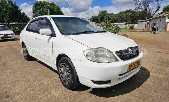 Tenga Tsaru Toyota Belta Chena Mota in Beitbridge in Matabeleland South Tenga Tsaru Toyota Belta Chena Mota in Beitbridge in Matabeleland South