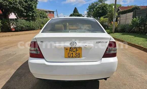 Tenga Tsaru Toyota Belta Chena Mota in Beitbridge in Matabeleland South Tenga Tsaru Toyota Belta Chena Mota in Beitbridge in Matabeleland South