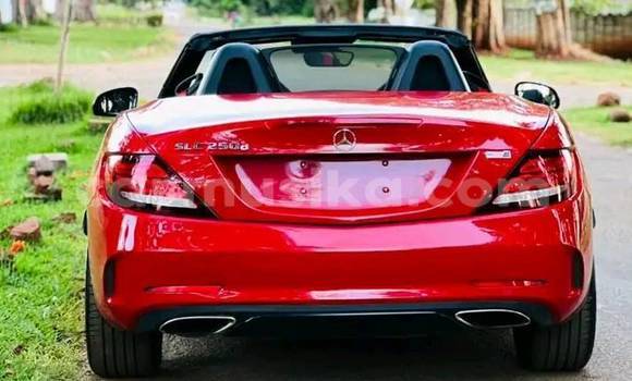 Tenga Tsaru MercedesâBenz SLC-klasse Tsvuku Mota in Bindura in Mashonaland yePakati Tenga Tsaru MercedesâBenz SLC-klasse Tsvuku Mota in Bindura in Mashonaland yePakati