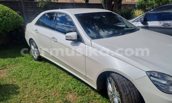 Tenga Tsaru Mercedes-Benz E-Classe Chena Mota in Beitbridge in Matabeleland South Tenga Tsaru Mercedes-Benz E-Classe Chena Mota in Beitbridge in Matabeleland South