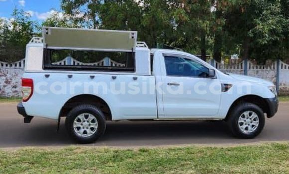 Tenga Tsaru Ford Ranger Chena Mota in Beitbridge in Matabeleland South Tenga Tsaru Ford Ranger Chena Mota in Beitbridge in Matabeleland South