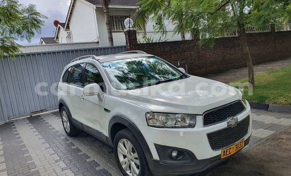 Tenga Tsaru Chevrolet Captiva Chena Mota in Borrowdale in Harare Tenga Tsaru Chevrolet Captiva Chena Mota in Borrowdale in Harare