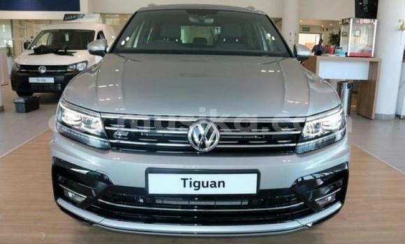 Buy Used Volkswagen Tiguan White Car in Beitbridge in Matabeleland South Buy Used Volkswagen Tiguan White Car in Beitbridge in Matabeleland South