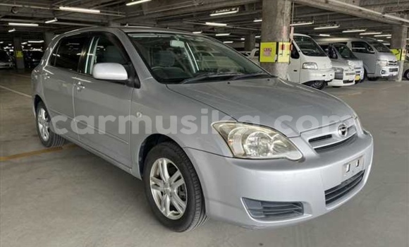 Buy Used Toyota Runx Silver Car in Beitbridge in Matabeleland South Buy Used Toyota Runx Silver Car in Beitbridge in Matabeleland South