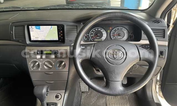 Nunua Ilio tumika Toyota Runx Fedha Gari ndani ya Beitbridge nchini Matabeleland Kusini Nunua Ilio tumika Toyota Runx Fedha Gari ndani ya Beitbridge nchini Matabeleland Kusini