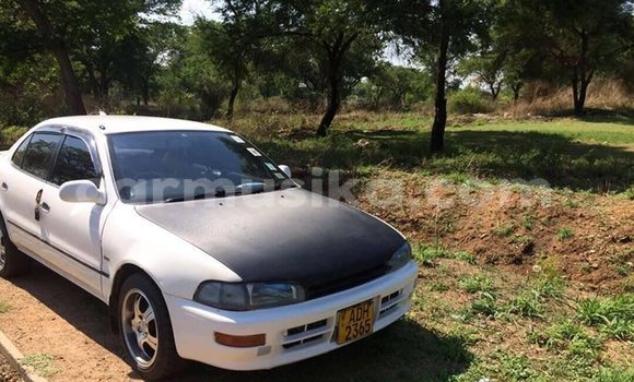 Buy Used Toyota Corolla White Car in Bulawayo in Bulawayo Buy Used Toyota Corolla White Car in Bulawayo in Bulawayo