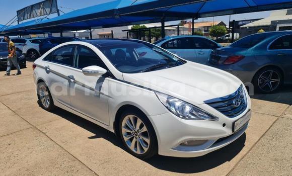 Tenga Tsaru Hyundai Sonata Chena Mota in Beitbridge in Matabeleland South Tenga Tsaru Hyundai Sonata Chena Mota in Beitbridge in Matabeleland South