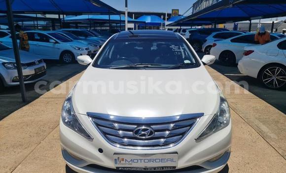 Acheter Occasion Voiture Hyundai Sonata Blanc à Beitbridge, Matabeleland South Acheter Occasion Voiture Hyundai Sonata Blanc à Beitbridge, Matabeleland South