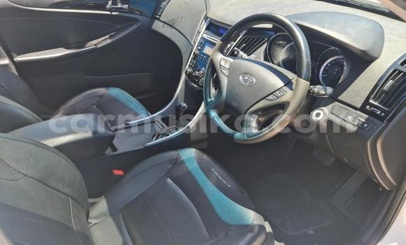 Acheter Occasion Voiture Hyundai Sonata Blanc à Beitbridge, Matabeleland South Acheter Occasion Voiture Hyundai Sonata Blanc à Beitbridge, Matabeleland South