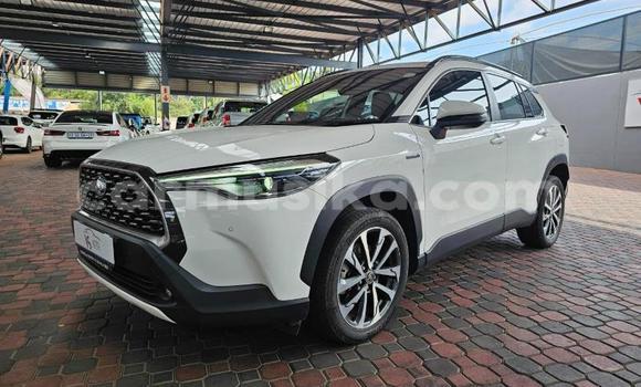 Tenga Tsaru Toyota Corolla Cross Chena Mota in Gweru in Midlands