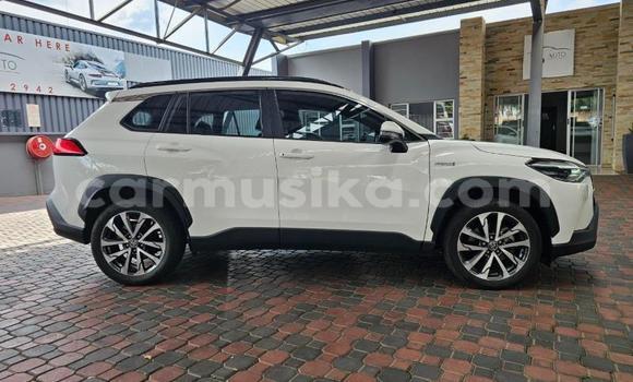 Acheter Occasion Voiture Toyota Corolla Cross Blanc à Gweru, Midlands Acheter Occasion Voiture Toyota Corolla Cross Blanc à Gweru, Midlands