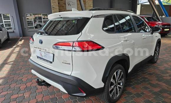 Acheter Occasion Voiture Toyota Corolla Cross Blanc à Gweru, Midlands Acheter Occasion Voiture Toyota Corolla Cross Blanc à Gweru, Midlands