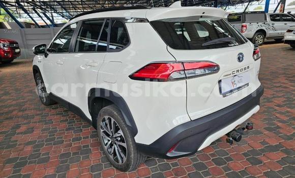 Acheter Occasion Voiture Toyota Corolla Cross Blanc à Gweru, Midlands Acheter Occasion Voiture Toyota Corolla Cross Blanc à Gweru, Midlands