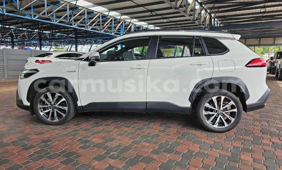 Acheter Occasion Voiture Toyota Corolla Cross Blanc à Gweru, Midlands Acheter Occasion Voiture Toyota Corolla Cross Blanc à Gweru, Midlands