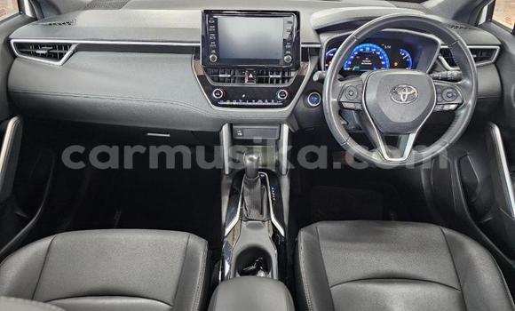 Acheter Occasion Voiture Toyota Corolla Cross Blanc à Gweru, Midlands Acheter Occasion Voiture Toyota Corolla Cross Blanc à Gweru, Midlands