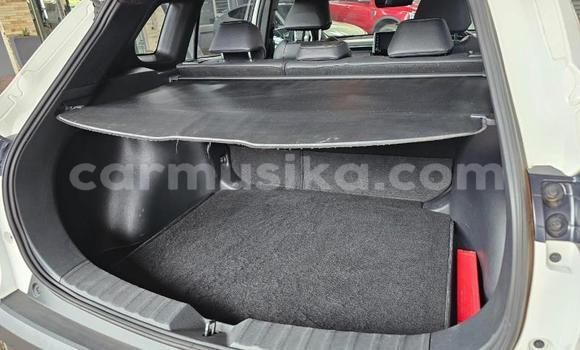 Acheter Occasion Voiture Toyota Corolla Cross Blanc à Gweru, Midlands Acheter Occasion Voiture Toyota Corolla Cross Blanc à Gweru, Midlands