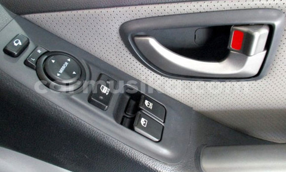 Tenga Tsaru Hyundai H1 Chena Mota in Beitbridge in Matabeleland South Tenga Tsaru Hyundai H1 Chena Mota in Beitbridge in Matabeleland South