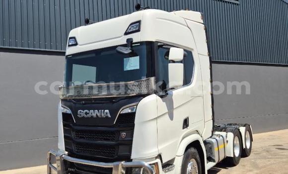 Acheter Occasion Utilitaire Scania R420 Blanc à Beitbridge, Matabeleland South