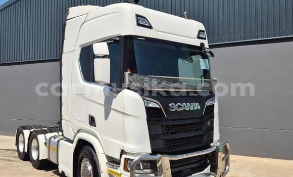 Acheter Occasion Utilitaire Scania R420 Blanc à Beitbridge, Matabeleland South Acheter Occasion Utilitaire Scania R420 Blanc à Beitbridge, Matabeleland South