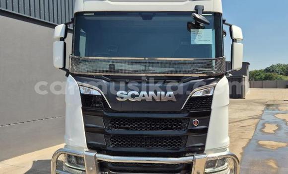 Acheter Occasion Utilitaire Scania R420 Blanc à Beitbridge, Matabeleland South Acheter Occasion Utilitaire Scania R420 Blanc à Beitbridge, Matabeleland South