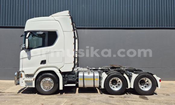 Acheter Occasion Utilitaire Scania R420 Blanc à Beitbridge, Matabeleland South Acheter Occasion Utilitaire Scania R420 Blanc à Beitbridge, Matabeleland South