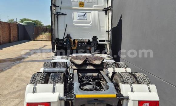 Acheter Occasion Utilitaire Scania R420 Blanc à Beitbridge, Matabeleland South Acheter Occasion Utilitaire Scania R420 Blanc à Beitbridge, Matabeleland South