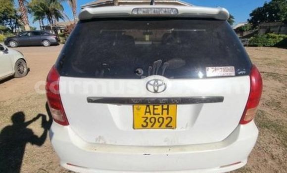 Tenga Tsaru Toyota Vitz Zvimwe Mota in Harare in Harare Tenga Tsaru Toyota Vitz Zvimwe Mota in Harare in Harare