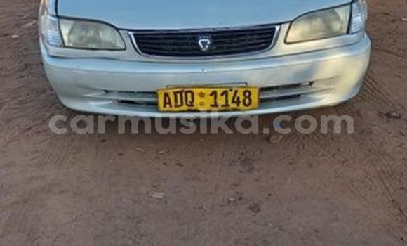 Buy Used Toyota Corolla Other Car in Harare in Harare Buy Used Toyota Corolla Other Car in Harare in Harare