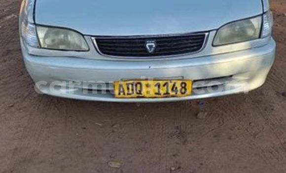 Buy Used Toyota Corolla Other Car in Harare in Harare Buy Used Toyota Corolla Other Car in Harare in Harare