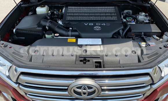 Nunua Ilio tumika Toyota Land Cruiser Nyekundu Gari ndani ya Beitbridge nchini Matabeleland Kusini Nunua Ilio tumika Toyota Land Cruiser Nyekundu Gari ndani ya Beitbridge nchini Matabeleland Kusini