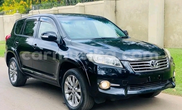 Tenga Tsaru Toyota Vanguard Nhema Mota in Harare in Harare Tenga Tsaru Toyota Vanguard Nhema Mota in Harare in Harare