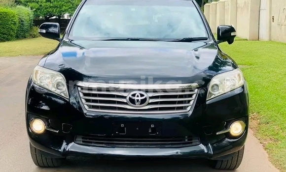 Tenga Tsaru Toyota Vanguard Nhema Mota in Harare in Harare Tenga Tsaru Toyota Vanguard Nhema Mota in Harare in Harare