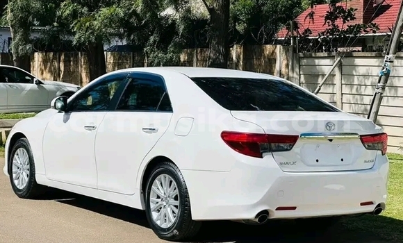 Tenga Tsaru Toyota Mark X Chena Mota in Harare in Harare