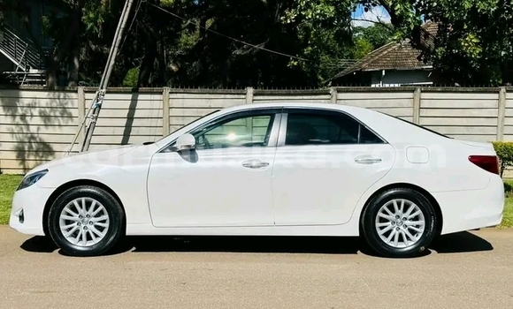 Tenga Tsaru Toyota Mark X Chena Mota in Harare in Harare Tenga Tsaru Toyota Mark X Chena Mota in Harare in Harare