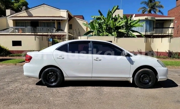 Nunua Ilio tumika Toyota Allion Nyeupe Gari ndani ya Harare nchini Harare Nunua Ilio tumika Toyota Allion Nyeupe Gari ndani ya Harare nchini Harare