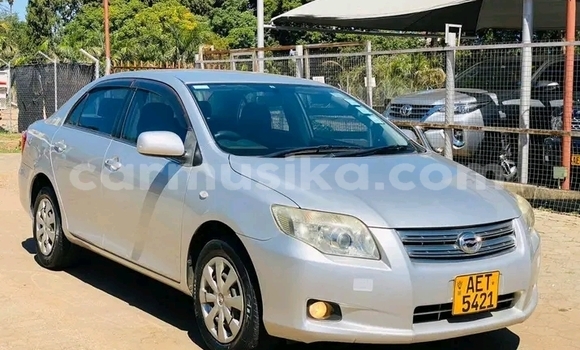 Tenga Tsaru Toyota Axio Chena Mota in Harare in Harare Tenga Tsaru Toyota Axio Chena Mota in Harare in Harare