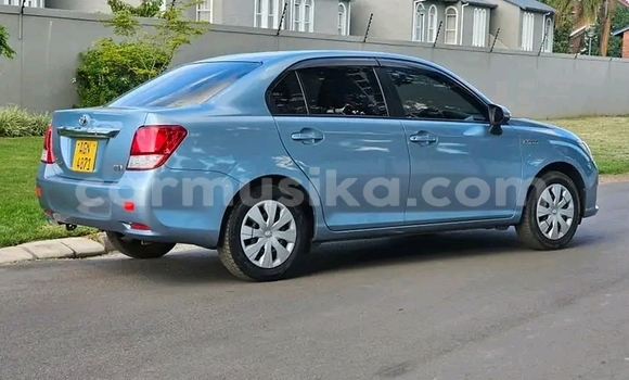 Tenga Tsaru Toyota Corolla Chena Mota in Harare in Harare