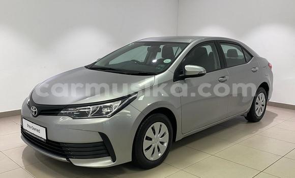 Buy Used Toyota Corolla Silver Car in Avondale in Harare