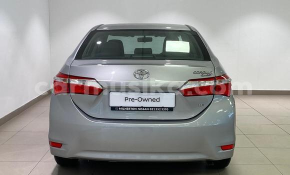 Acheter Occasion Voiture Toyota Corolla Gris à Avondale, Harare Acheter Occasion Voiture Toyota Corolla Gris à Avondale, Harare