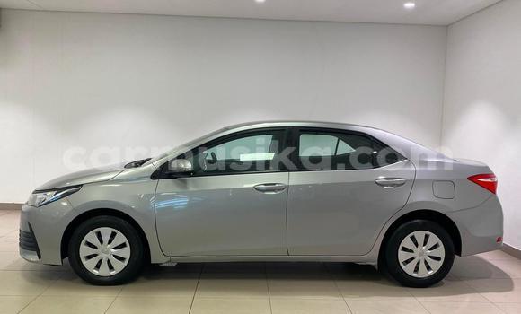 Acheter Occasion Voiture Toyota Corolla Gris à Avondale, Harare Acheter Occasion Voiture Toyota Corolla Gris à Avondale, Harare